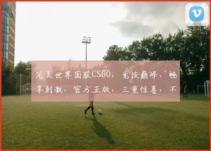 完美世界国服CSGO，竞技巅峰，畅享刺激，官方正版，三重惊喜，不容错过，