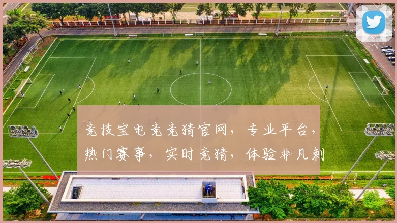 竞技宝电竞竞猜官网，专业平台，热门赛事，实时竞猜，体验非凡刺激，尽在掌握
