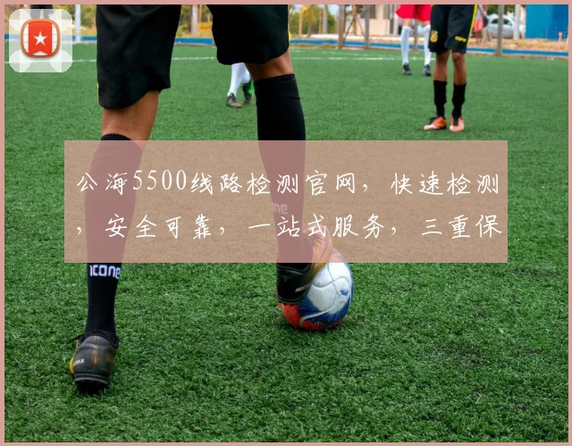公海5500线路检测官网，快速检测，安全可靠，一站式服务，三重保障，值得信赖，必看指南