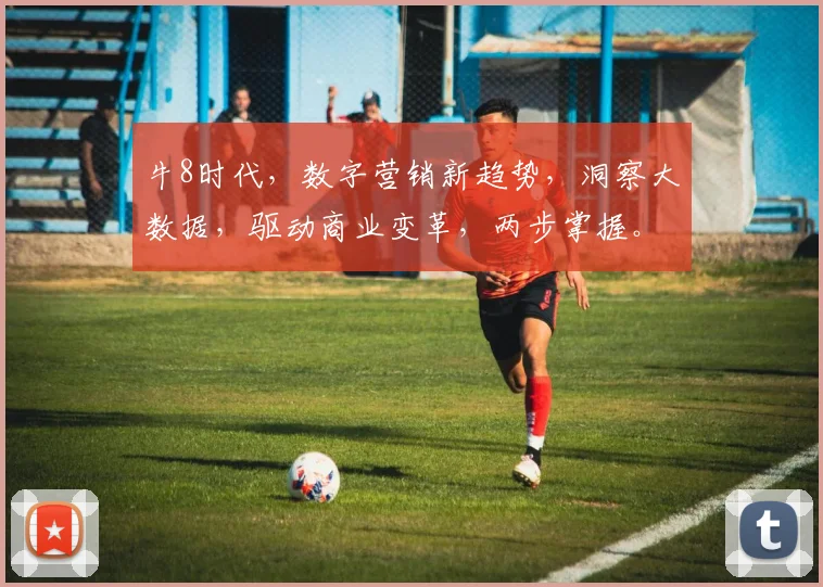 牛8时代，数字营销新趋势，洞察大数据，驱动商业变革，两步掌握。