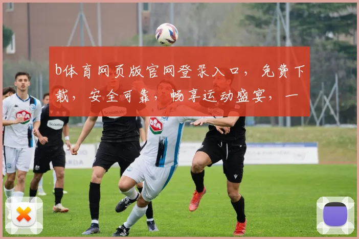 b体育网页版官网登录入口，免费下载，安全可靠，畅享运动盛宴，一键登录体验三重惊喜