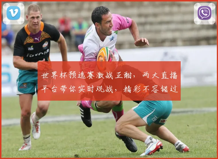 世界杯预选赛激战正酣，两大直播平台带你实时观战，精彩不容错过，快来锁定